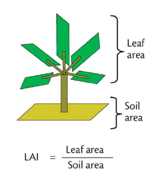 Crop Evapotranspiration Hortinergy